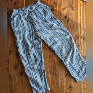 American Eagle Outfitters Blue Striped Cropped Pants
